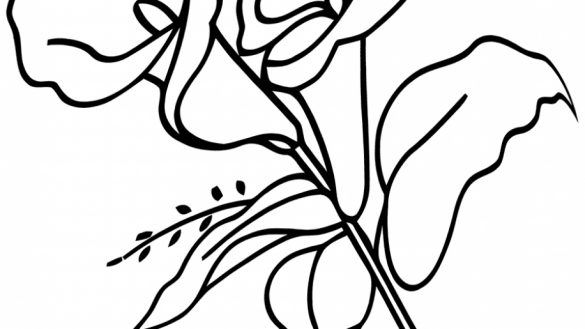 585x329 Lily Coloring Pages Brilliant Beautiful For Your Little Girl