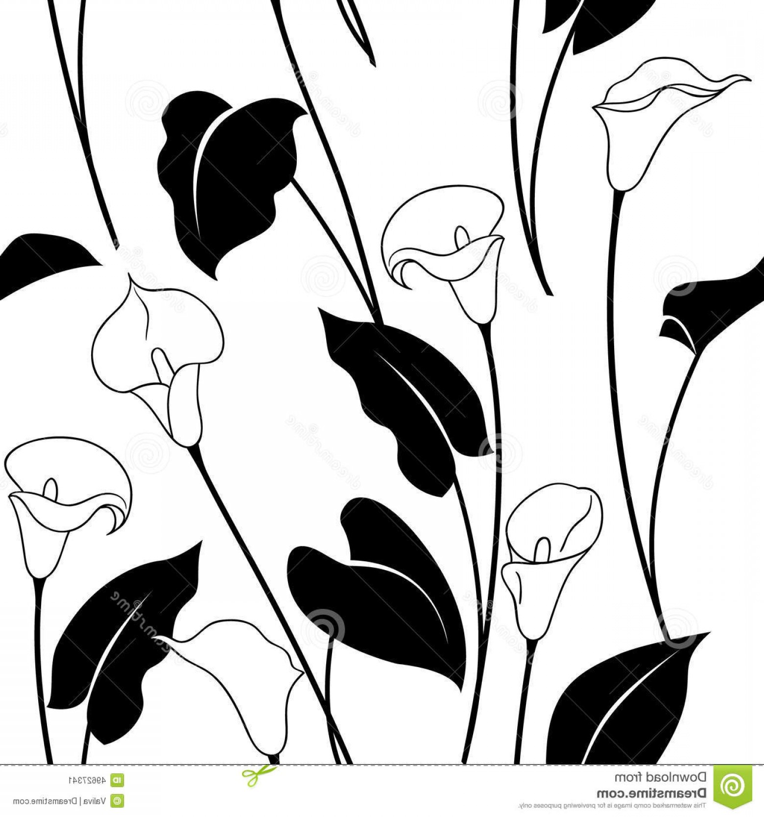 1560x1668 Lily Vector Outline Lamaison