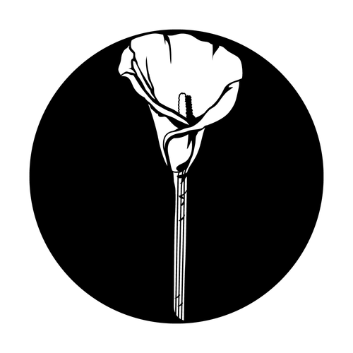 500x500 Apollo Design Lonely Calla Lily Steel Pattern Stage