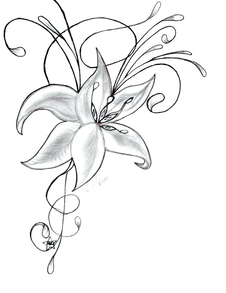 Calla Lily Flower Drawing | Free download on ClipArtMag