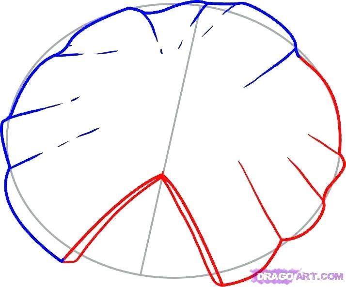 714x593 How To Draw A Lilly Lali