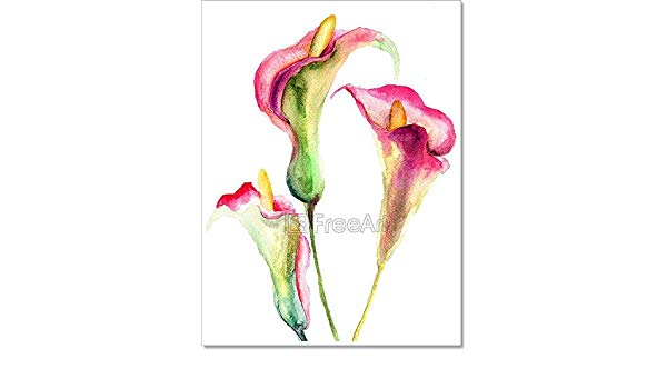600x350 barewalls calla lily flowers paper print wall art