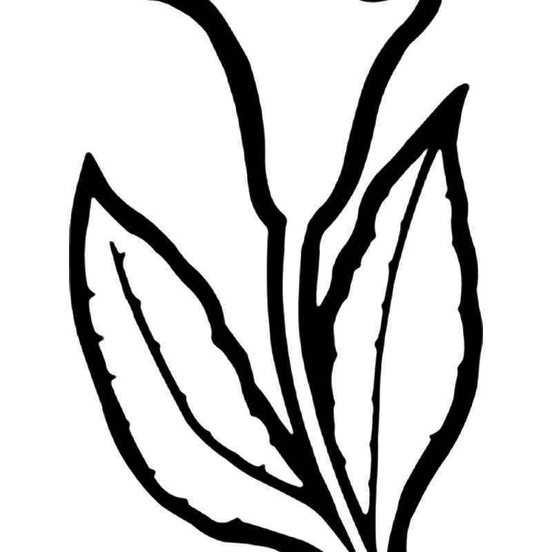 800x800 Calla Lily Flower Vinyl Sticker