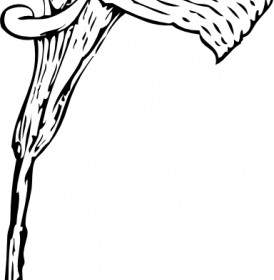 274x280 Calla Lily Flower Morning Glory Flower Sketches Vector Pattern