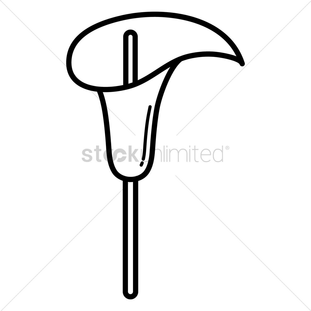 1300x1300 Calla Lily Vector Image