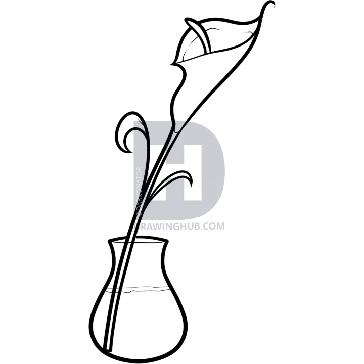 720x720 How To Draw A Calla Lily, Step