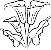170x168 Calla Lily Clipart Line Drawing