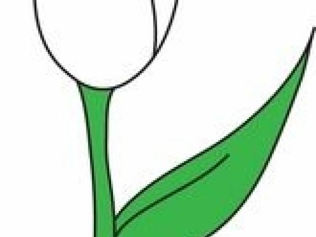 640x480 Calla Lily Clipart Free Clip Art Stock Illustrations