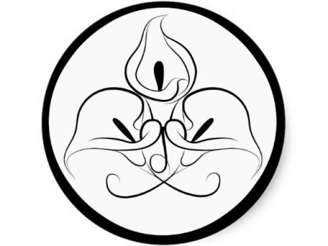 640x480 Calla Lily Clipart Line Drawing