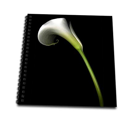 425x386 Db White Calla Lily Memory Book