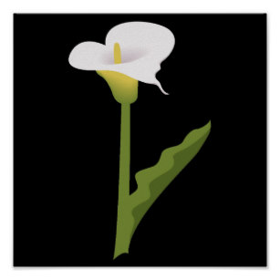 307x307 Calla Lily Art Wall