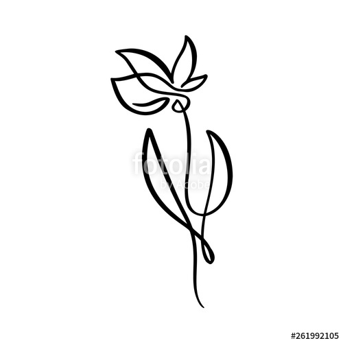 500x500 continuous line hand drawing calligraphic vector flower concept