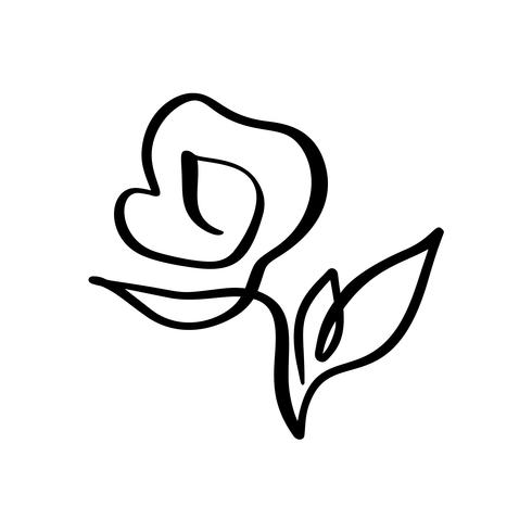 490x490 rose flower concept continuous line hand drawing calligraphic