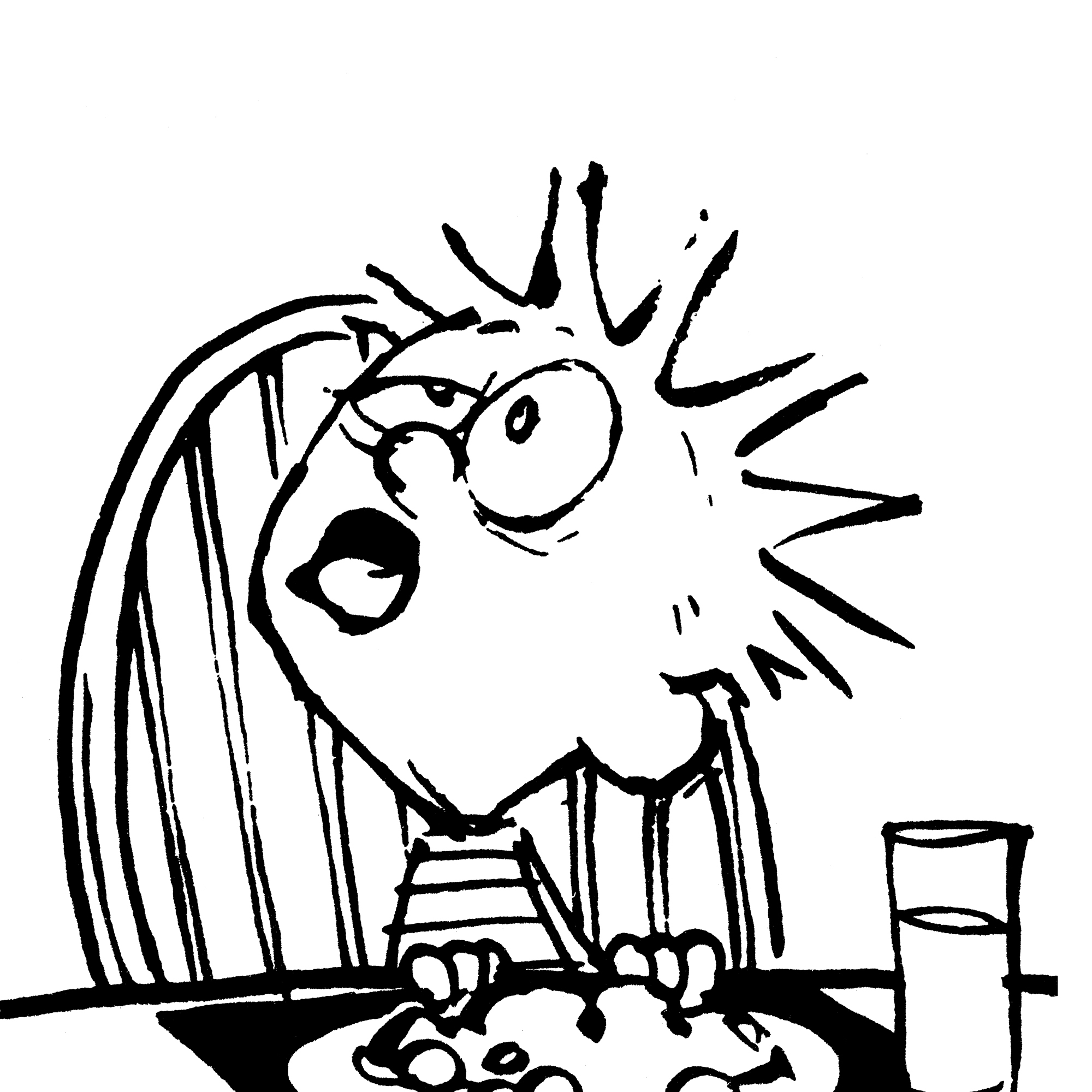 2000x2000 Calv Hobbes