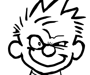 300x250 calvin draws