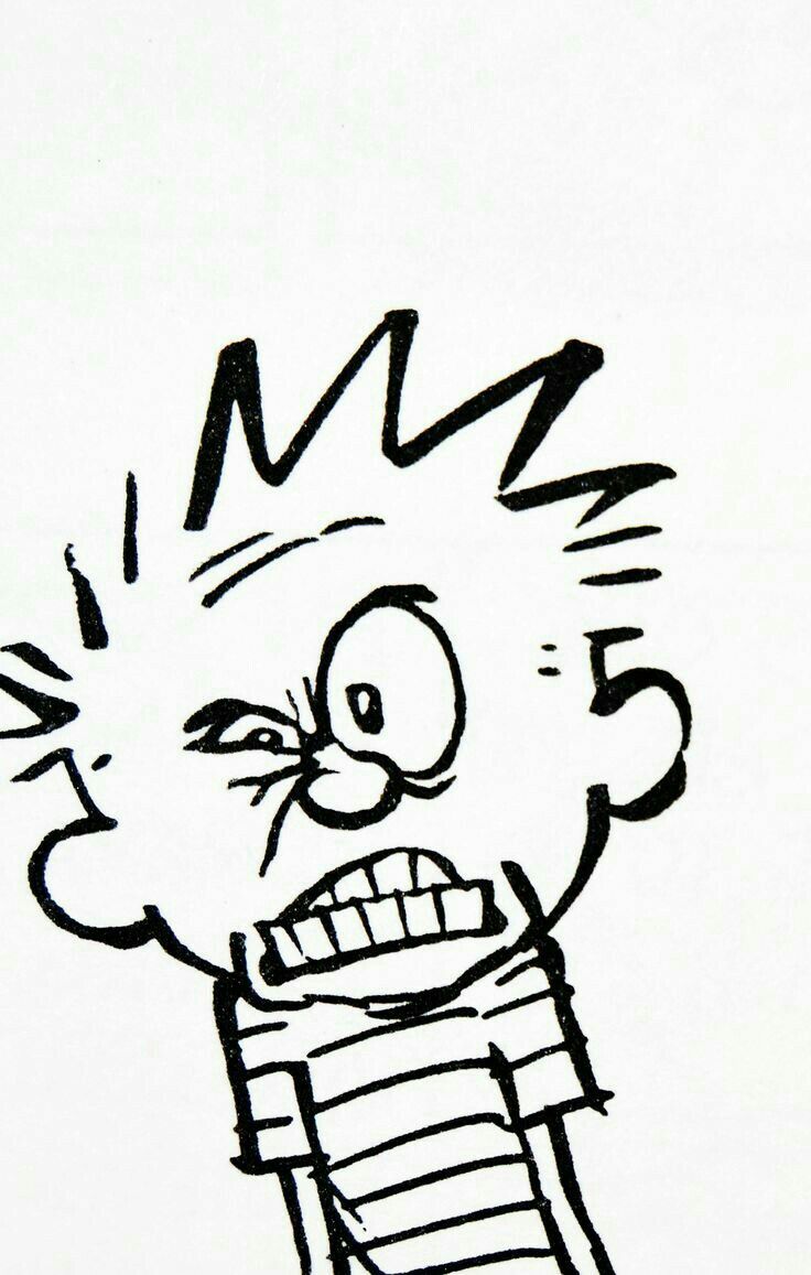 736x1157 calvin and hobbes tirinhas, calvin e haroldo