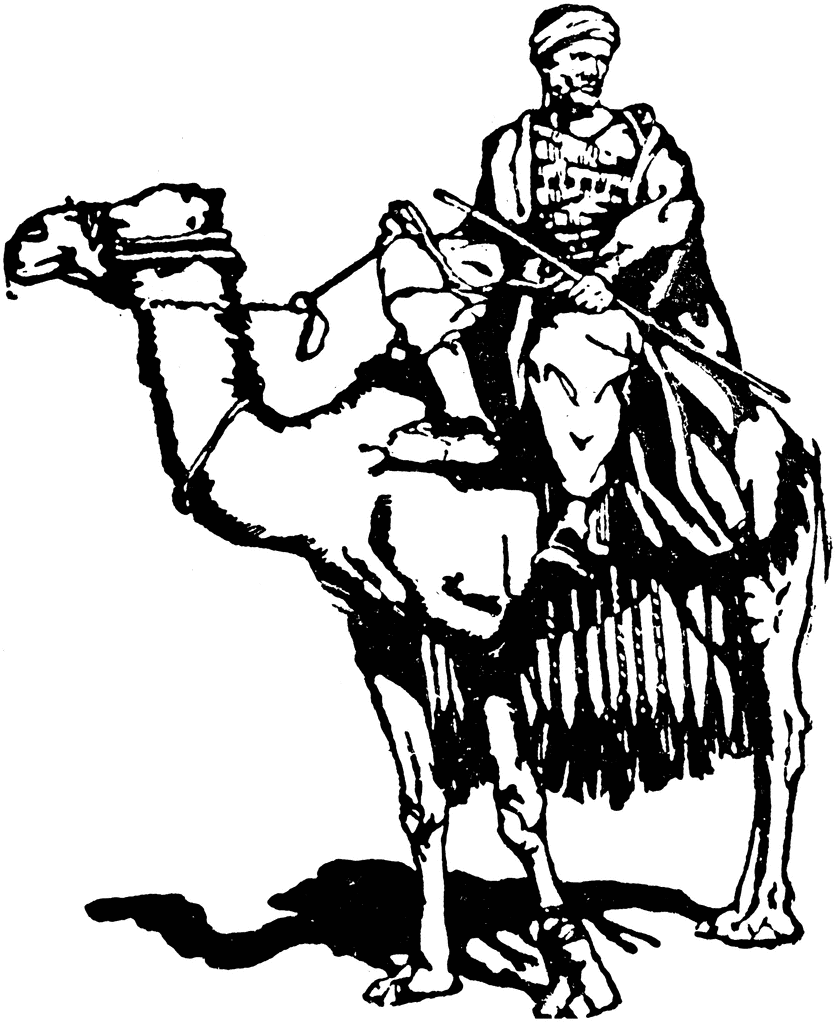 838x1024 Camel Caravan Drawing