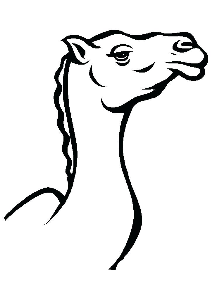 742x957 Coloring Pages Camel