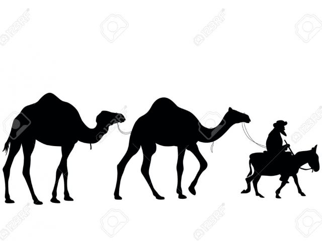 640x480 Free Camel Caravan Clipart, Download Free Clip Art