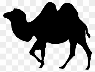 320x242 Camel Caravan Clip Art Png