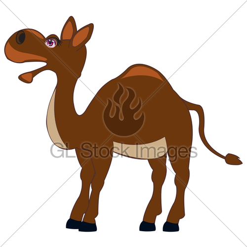 500x500 Drawing Of The Camel On White Background Gl Stock Images