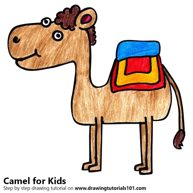 800x800 Learn How To Draw A Camel For Kids