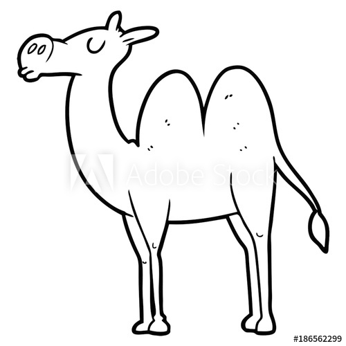 500x500 Cartoon Camel