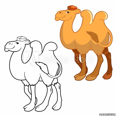 500x500 Color And Contour Cartoon Drawing Camel