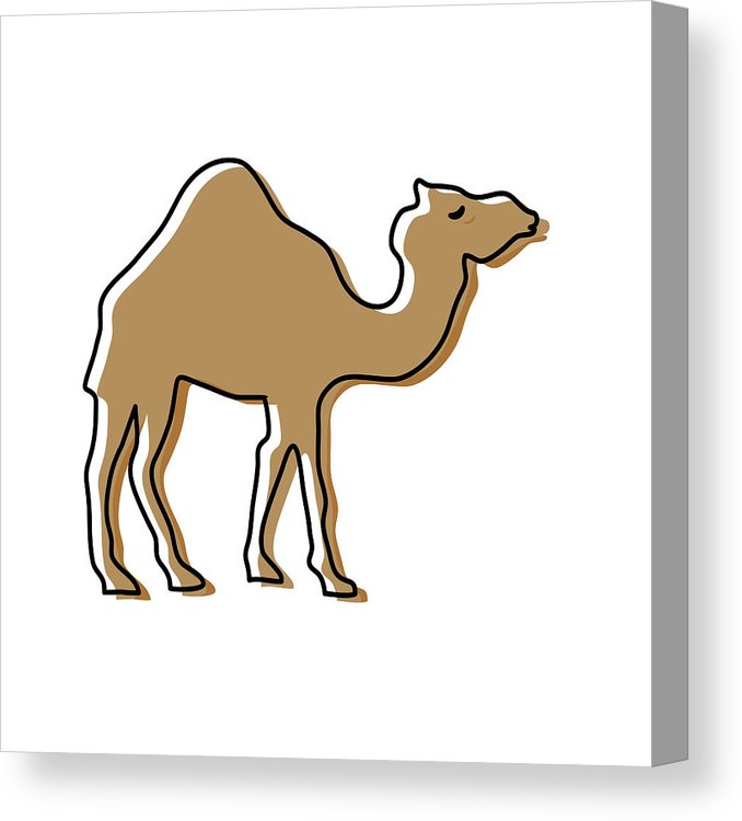 678x750 camel cartoon silhouette canvas print canvas art