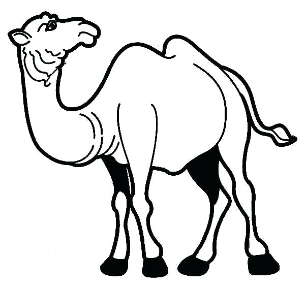 600x569 Camel Coloring Pages Drawing Size Image Cute Cartoon Colori