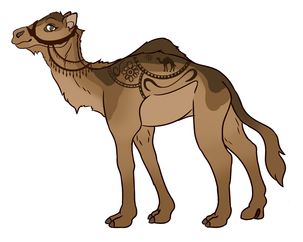 988x791 Collection Of Free Camel Drawing Wild Animal Download On Ui Ex