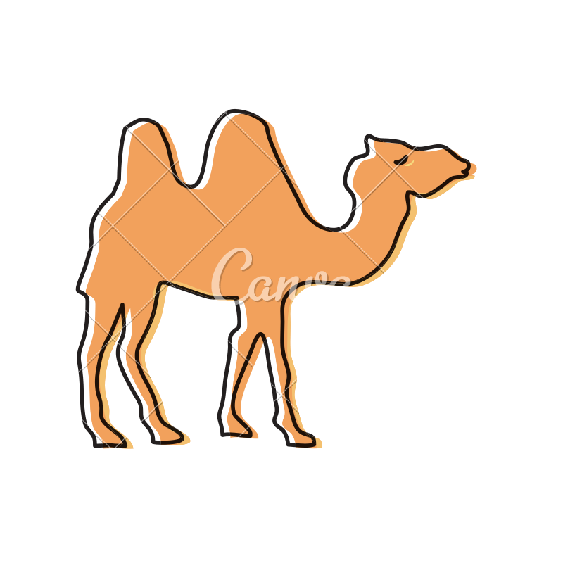 800x800 Drawing Camels Vintage Transparent Png Clipart Free Download