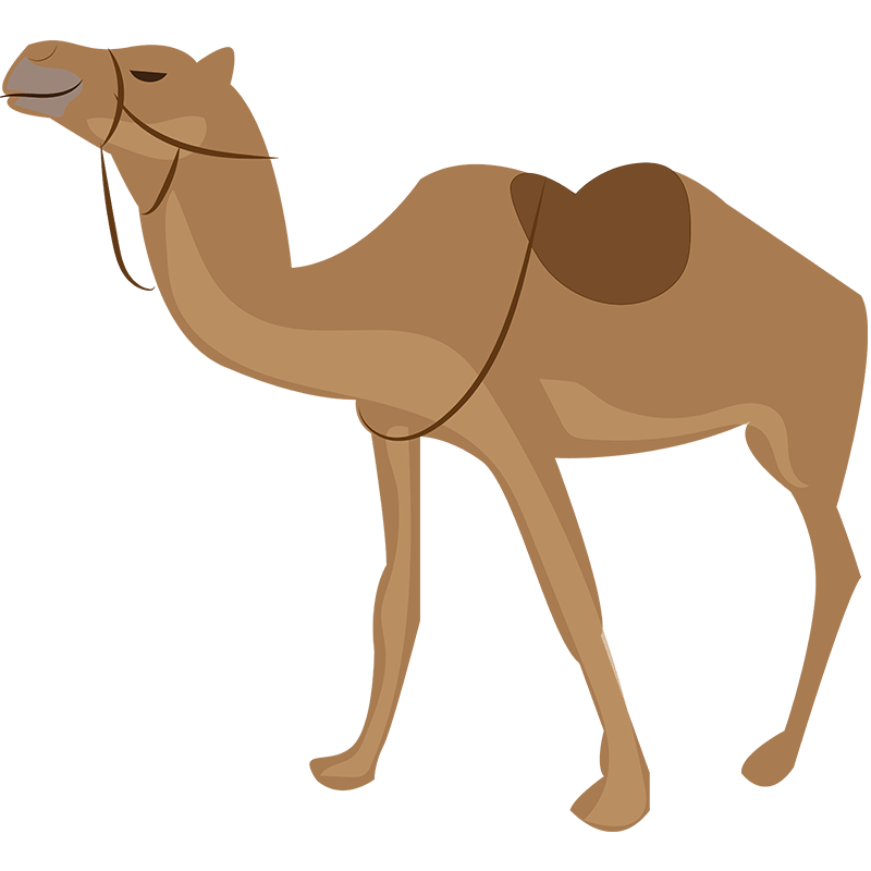 800x800 Camels Drawing Scenery Huge Freebie! Download For Powerpoint