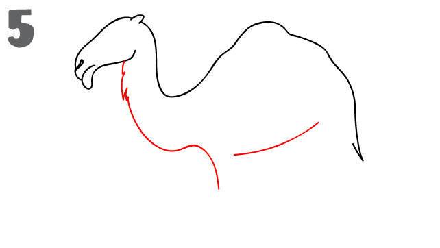 642x362 How To Draw A Camel