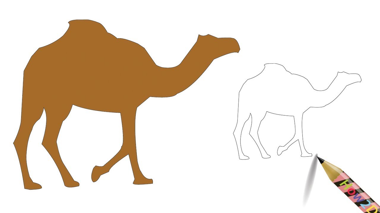 1280x720 How To Draw A Camel Easy Step