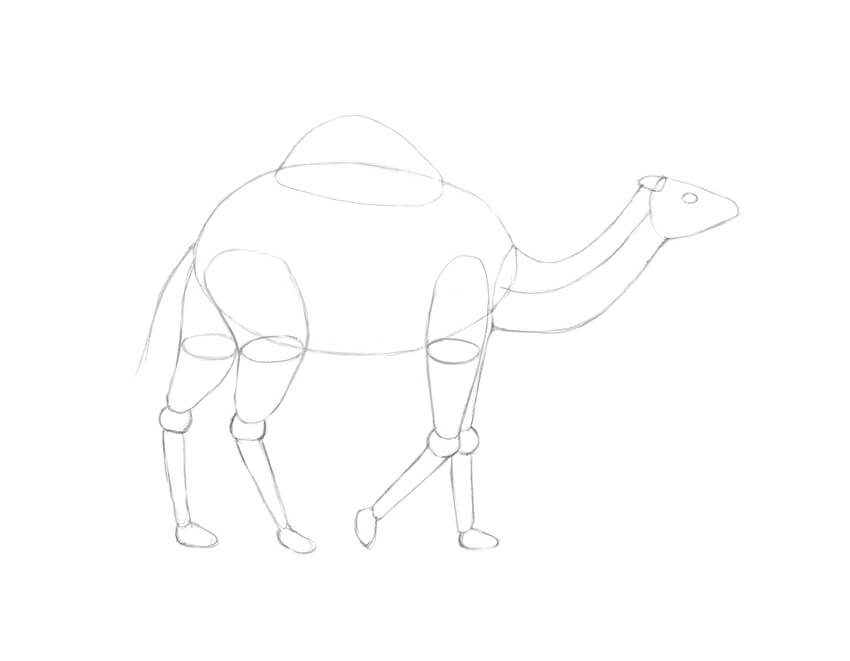 850x661 How To Draw A Camel