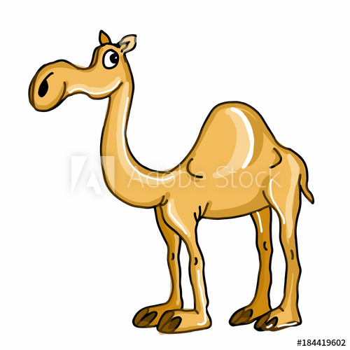500x500 Cute Camel Illustration Drawing
