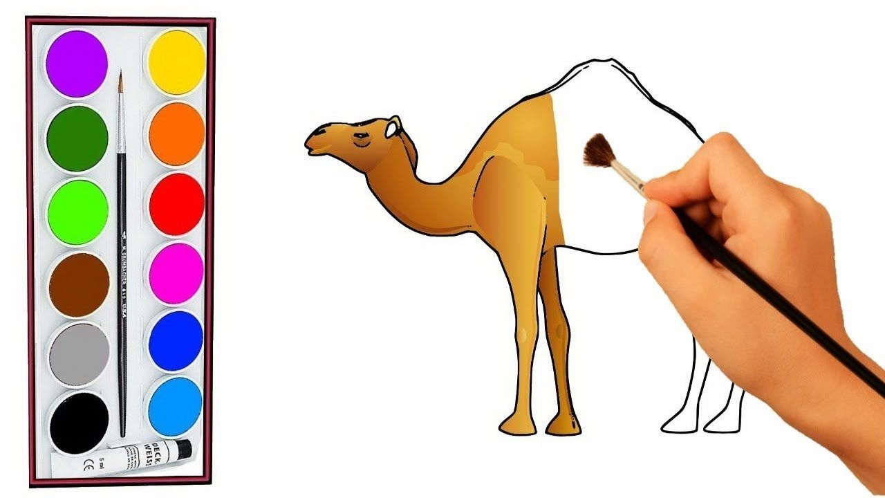 1280x720 Camel Draw Coloring Book For Children Animal Coloring Pages