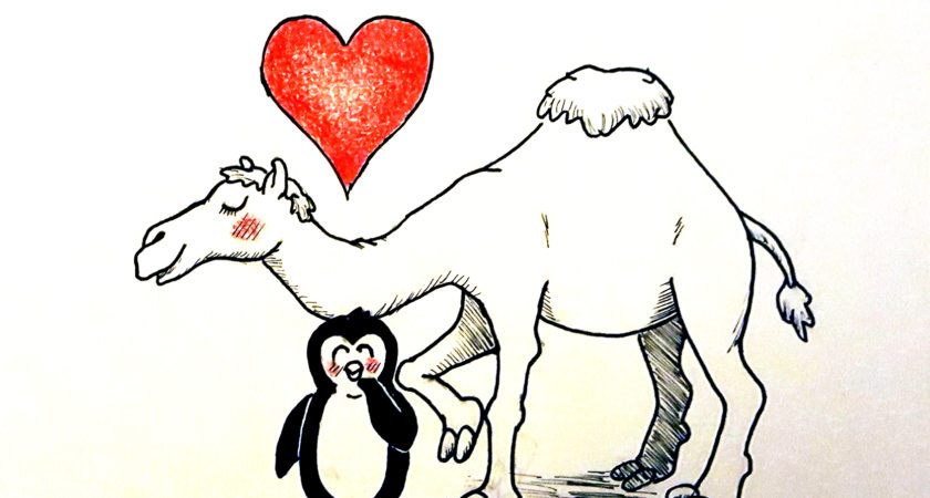 840x450 Pengu Camel Quiet Guy Graphics