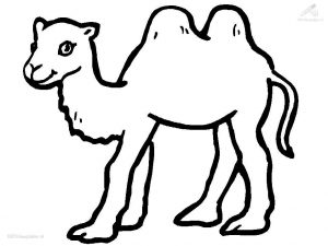 300x225 Camel Coloring