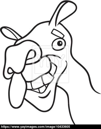 404x512 Dromedary Camel For Coloring Book Vector