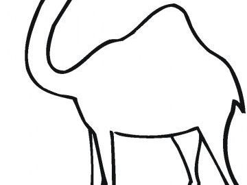 360x270 the camel coloring pages for kids and camel outline for growing
