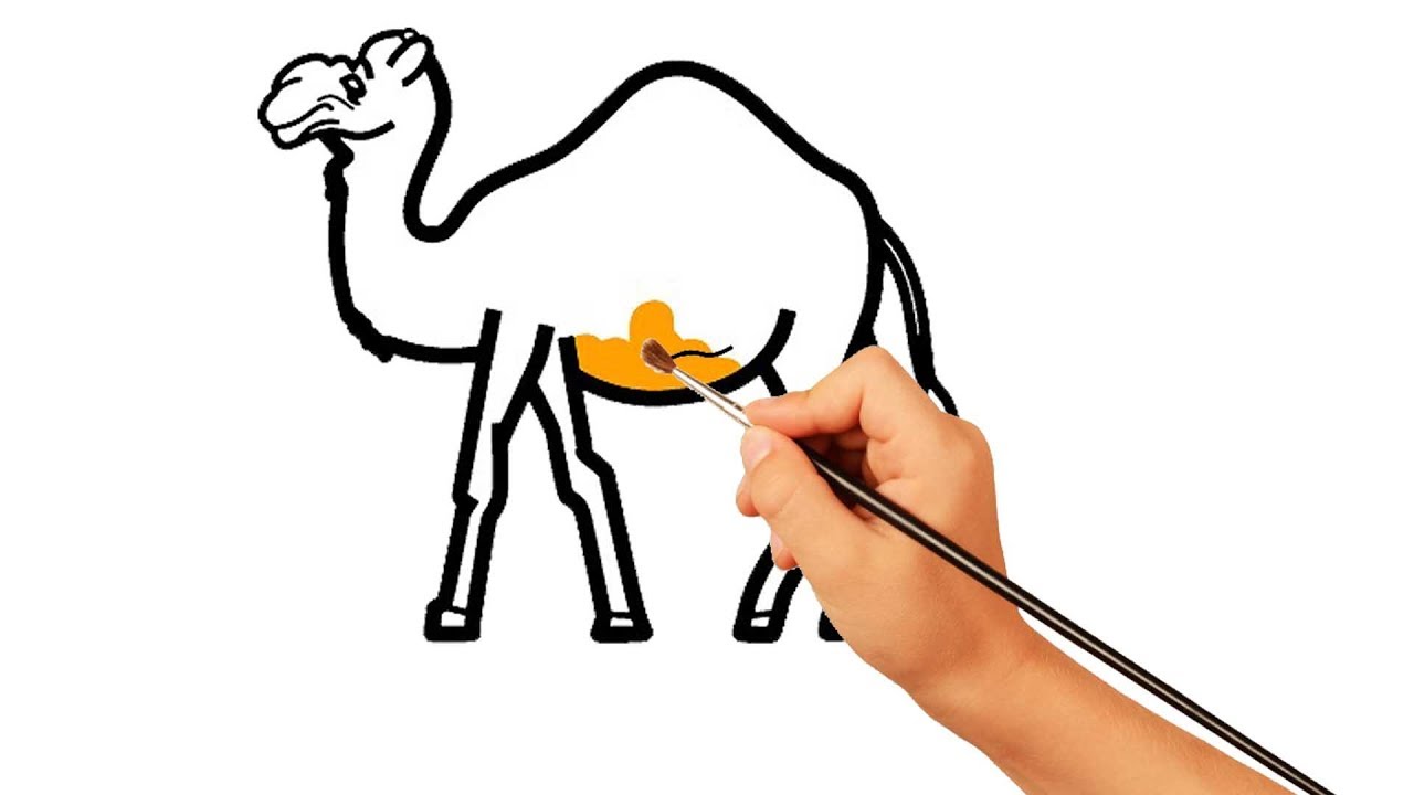 Camel Drawing For Kids