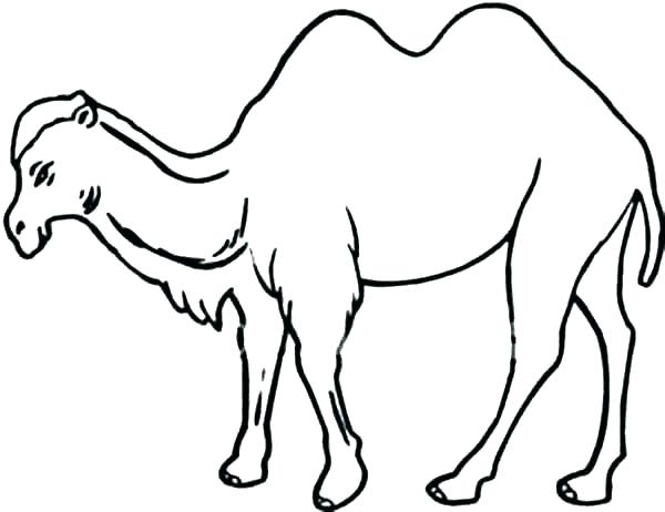 600x462 Coloring Pages For Adults Kids Printable Halloween Ghost Camel