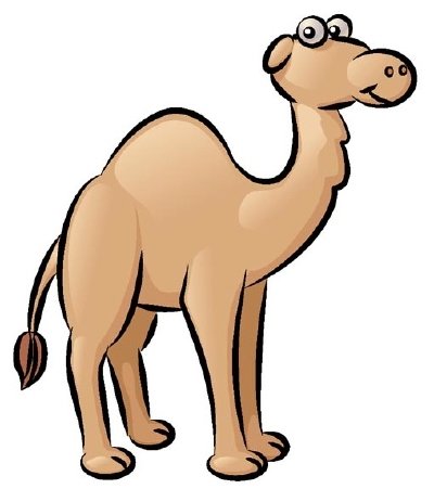 400x463 how to draw a camel howstuffworks