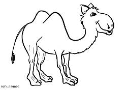 250x177 Camel Coloring Pages For Kids