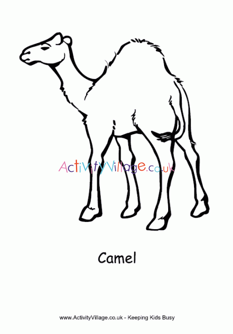 460x659 Camel Colouring Page