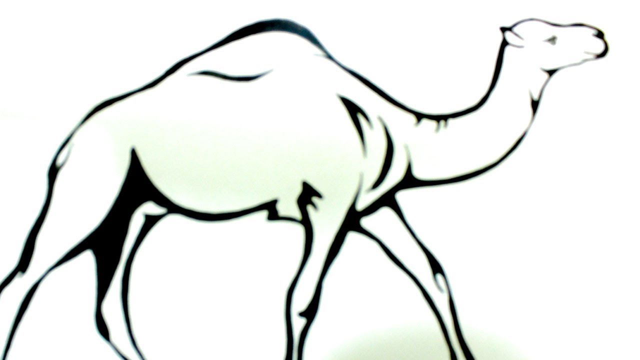 1280x720 How To Draw A Camel Camel Draw Easily Step