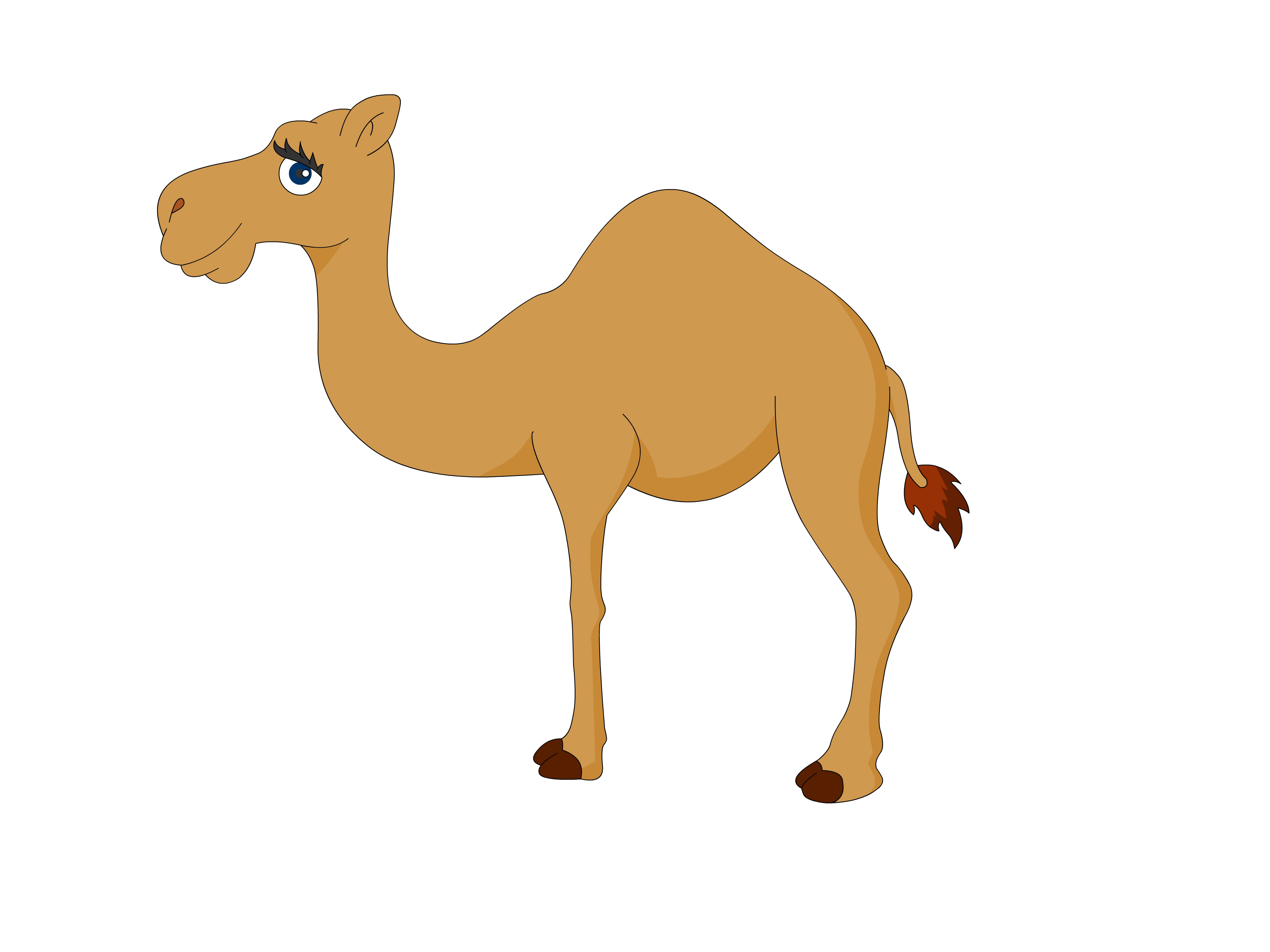 3200x2400 Moving Camel Clipart
