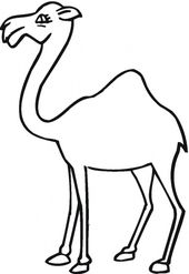 170x247 camel outline picture outline pictures camel tattoo, outline